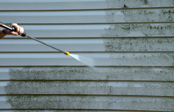 Best Roof Power Washing Services  in Park Layne, OH