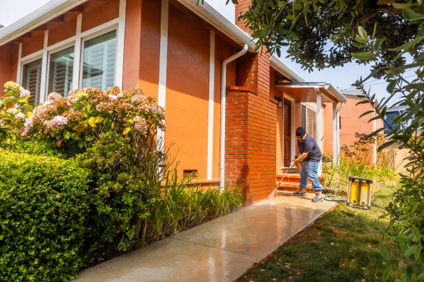 Best Pressure Washing Services Near Me  in Park Layne, OH